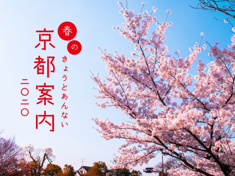 春の京都案内