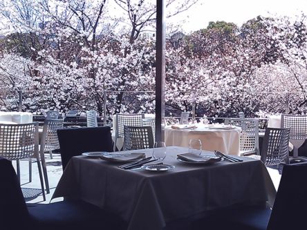 室内なら寒くない＆花粉症にも優しい♪桜をのぞむお店でポカポカお花見を楽しむ