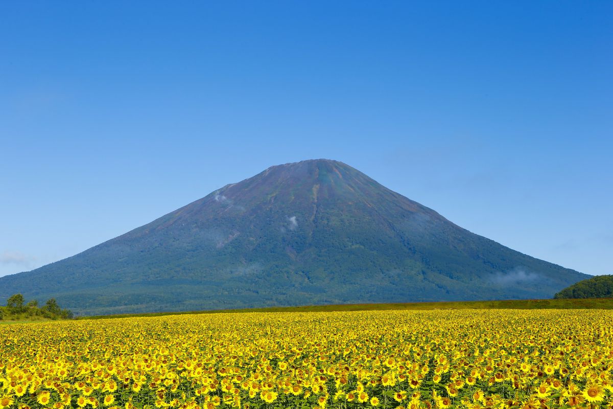 想像を軽々と超える 北海道で出会える感動的な絶景7選 るるぶ More