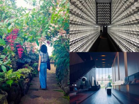 癒しの記事一覧 るるぶ More