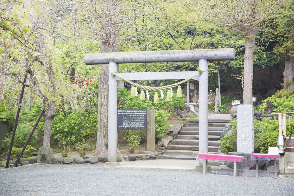 雨の日でも見に行きたい 見頃を迎えるあじさい満喫スポットまとめ るるぶ More