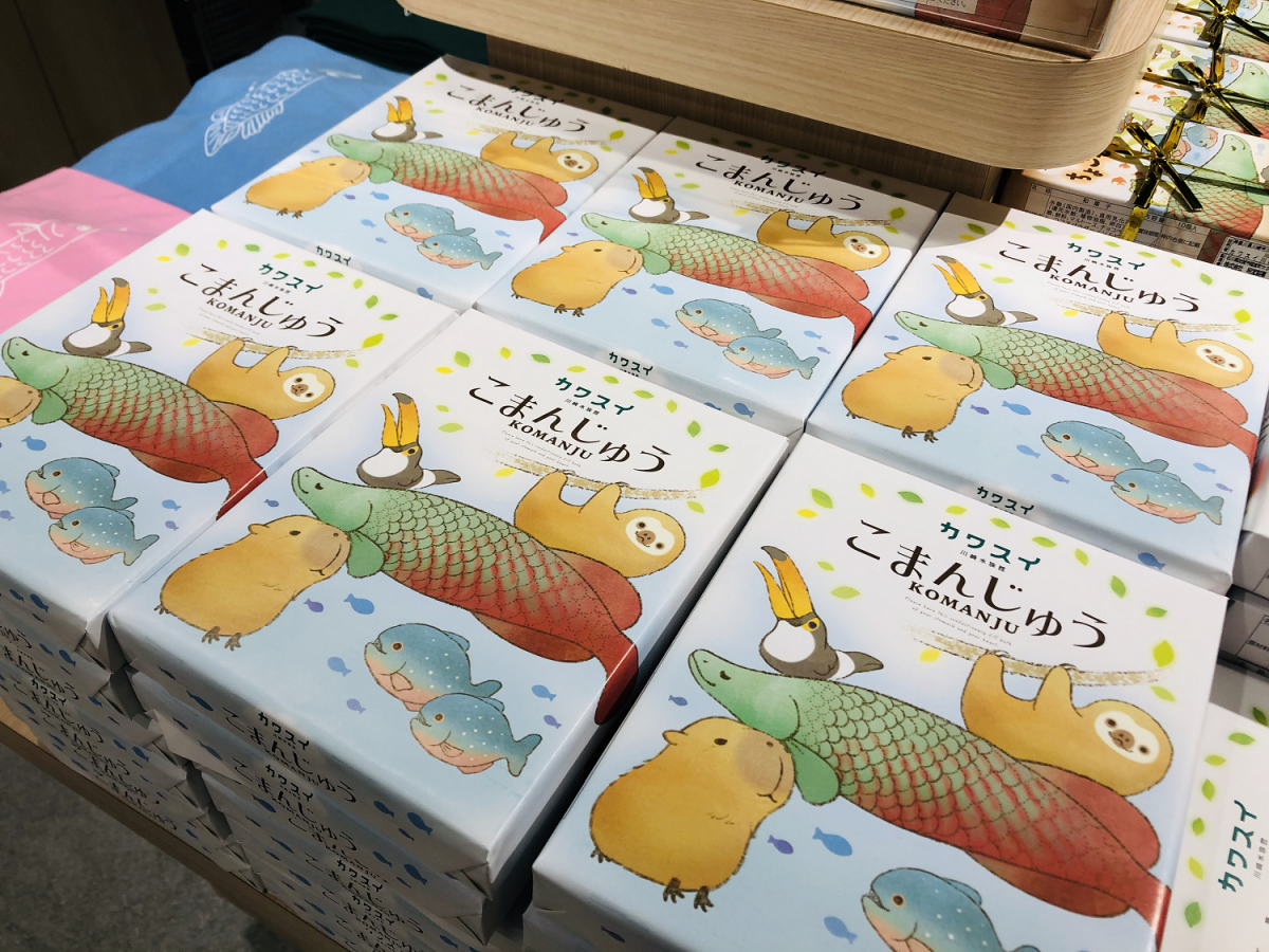 カワスイ 川崎水族館 がニューオープン 世界の水辺を旅するように楽しむ るるぶ More カワスイ 川崎水族館 がニューオープン 世界の水辺を旅するように楽しむ るるぶ More