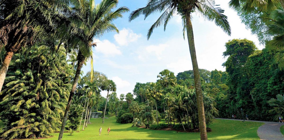 緑と花でいっぱい シンガポール最初の世界遺産 シンガポール植物園 るるぶ More