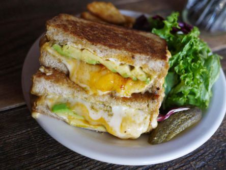 多摩川沿いの隠れ家カフェ「タイムアンドスペース」で“チーズとろっ”なボリュームサンドを♬テイクアウトも可能？
