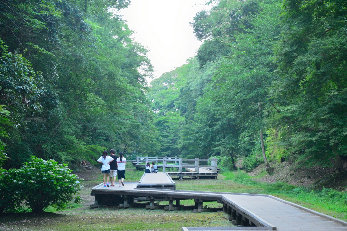 提供:千葉県君津市