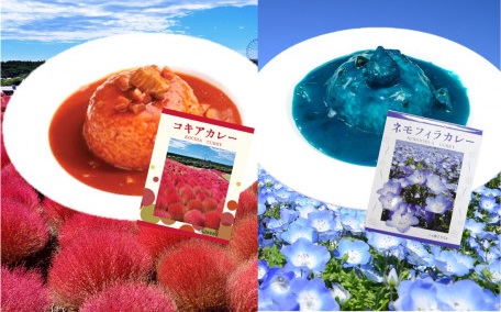 ひたち海浜公園 の秋の絶景 今年のおすすめは奇跡の グラデーションコキア るるぶ More