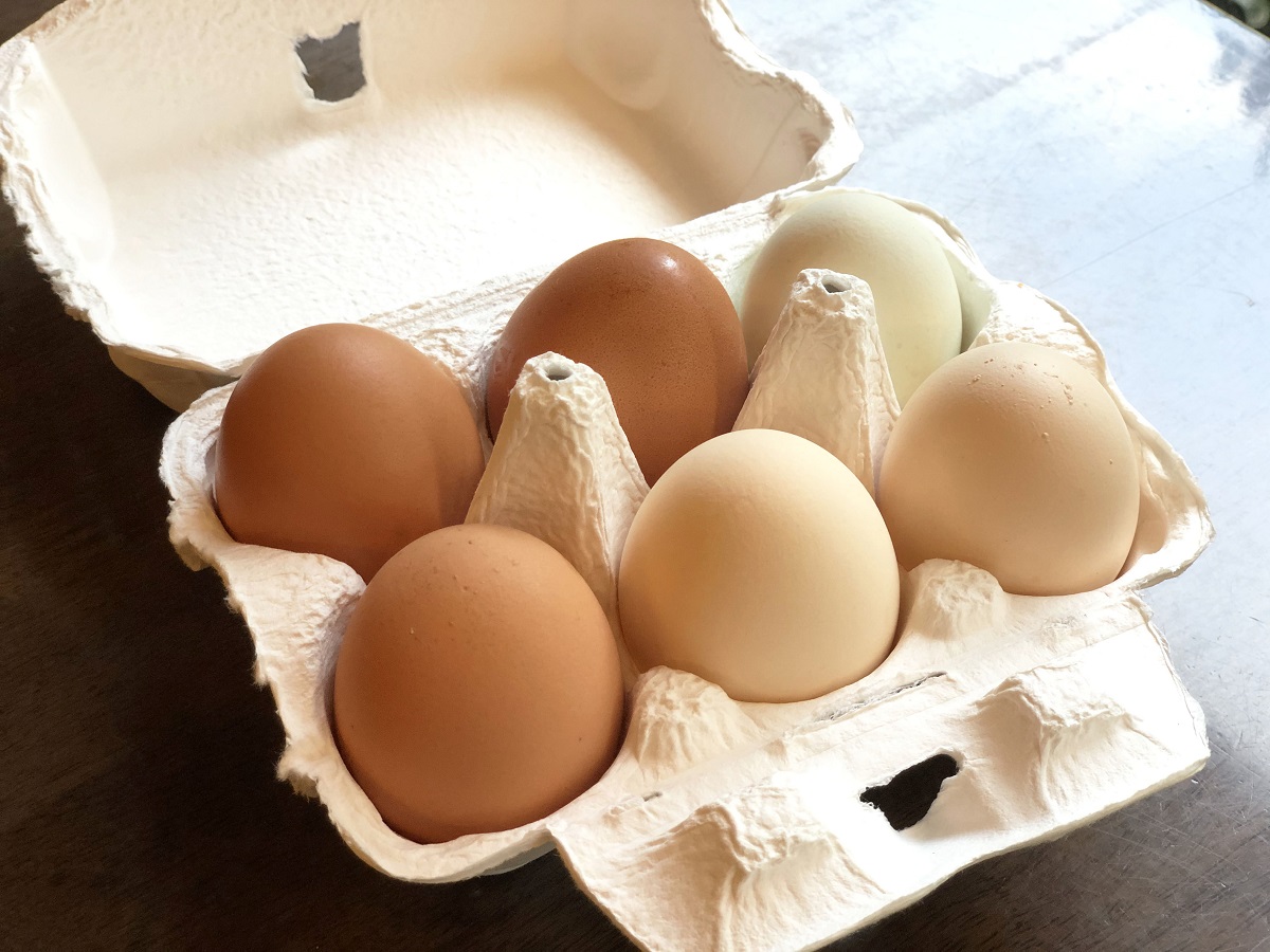 「お土産卵」10ヶ入650円(税抜)、6ヶ入470円(税抜)