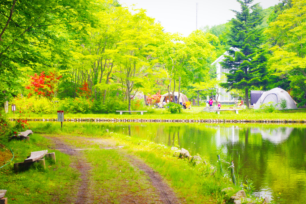 STEPPING STONES
