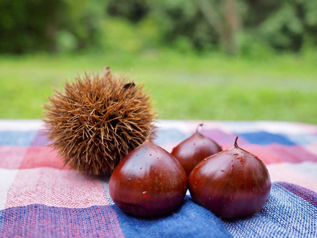 9月1日 9月30日のるるぶ More 人気記事ランキングtop10 るるぶ More