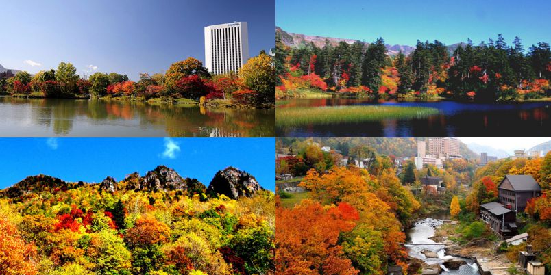 北海道のフォトジェニックな紅葉名所～おすすめランキング2023～