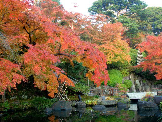 鎌倉 神奈川県 のおすすめ紅葉名所21 鎌倉駅 北鎌倉 長谷など