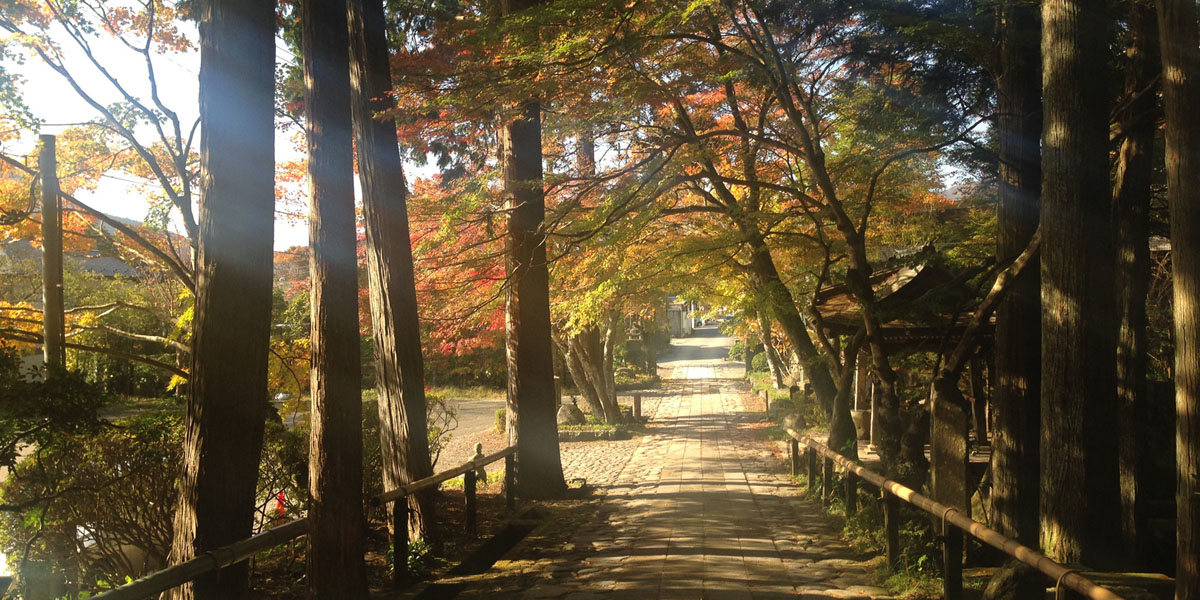 箱根 神奈川県 のおすすめ紅葉名所21 強羅 仙石原 芦ノ湖など