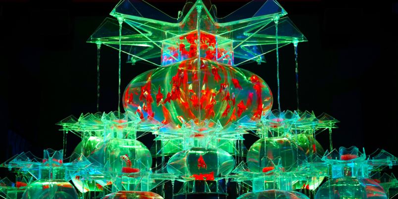 世界遺産・二条城に金魚舞う、『アートアクアリウム城』いよいよ開幕