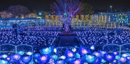 日本三大イルミのあしかがフラワーパーク『光の花の庭～Flower Fantasy2020～』開催決定