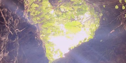 【Go To トラベル対象】沖縄「ココ ガーデンリゾート オキナワ」で隠れた人気パワースポットを体験できるおすすめ宿泊プラン！