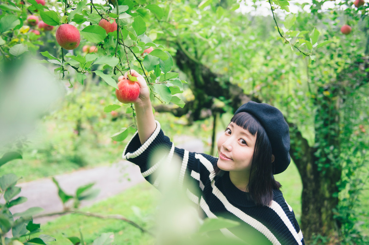 この秋は都会を抜け出し大自然へ 滝のパワーとりんごの香りで心も体も癒される 魅惑の茨城 大子町トリップ