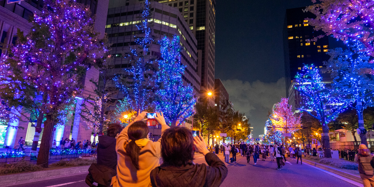 大阪の街全体がきらきら輝く この時期だけのライトアップ 大阪 光の饗宴 るるぶ More