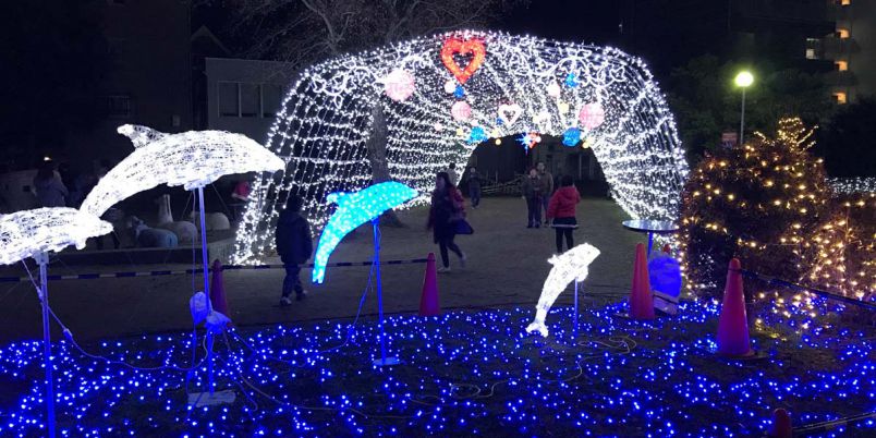 奈良県のおすすめイルミネーション 2020 2021 クリスマスや冬デートに るるぶ More