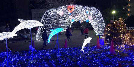 奈良県のおすすめイルミネーション（2021-2022）クリスマスや冬デートに！
