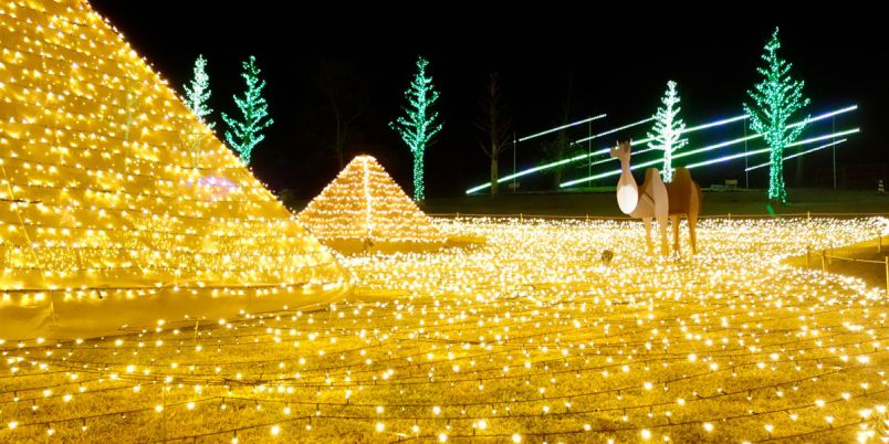 鹿児島県のおすすめイルミネーション 21 クリスマスや冬デートに るるぶ More 鹿児島県のおすすめイルミネーション 21 クリスマスや冬デートに るるぶ More