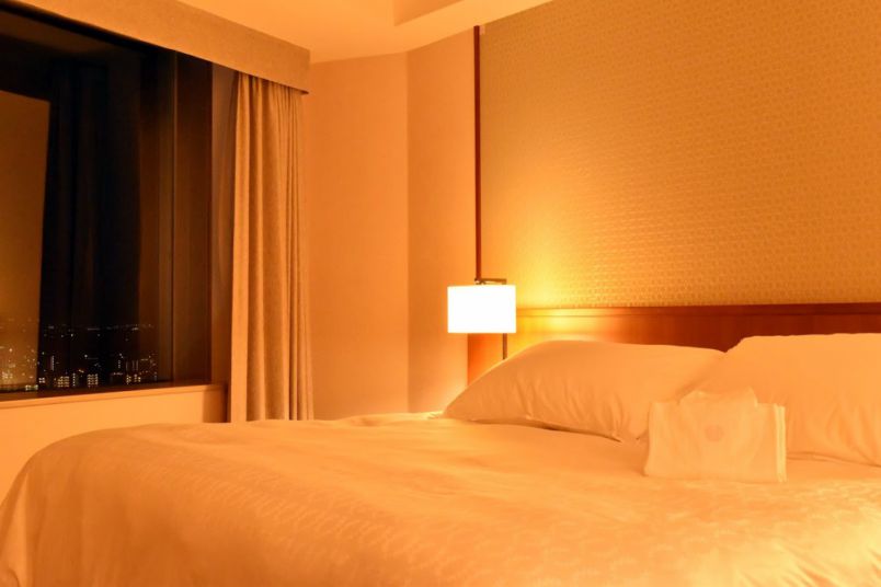 ガイア　ブルマック怪獣シリーズ横浜ベイシェラトンホテル&タワーズ15周年 JGB60 ジュラシック・ワールド デラックスヘッド プレイセット