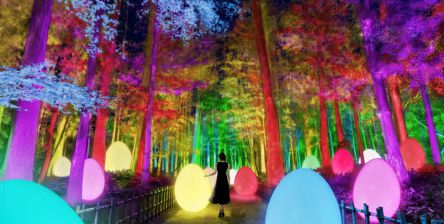 水戸でアートイベント「チームラボ 偕楽園 光の祭」開催！梅が3000本咲き競う日本三名園へ