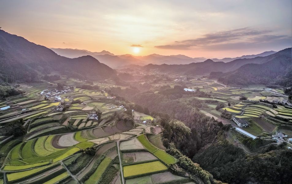 棚田