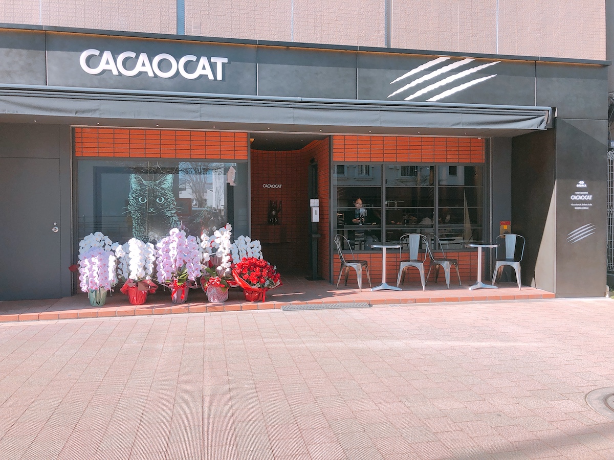 ねこモチーフのチョコ専門店 Cacaocat の大人かわいいスイーツに夢中 るるぶ More