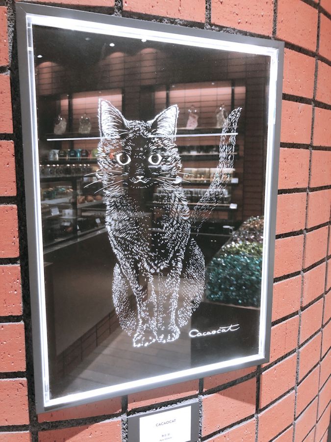 ねこモチーフのチョコ専門店 Cacaocat の大人かわいいスイーツに夢中 るるぶ More