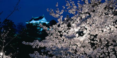 中部・東海のお花見・桜名所ランキング（2021）人気の夜桜や桜祭りも！