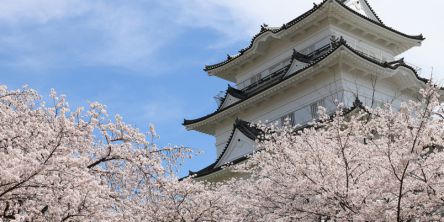 関東のお花見・桜名所ランキング（2021）人気の夜桜や桜祭りも！