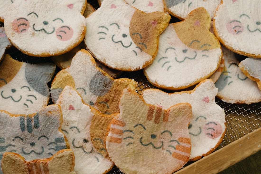 門前中町 みなとや 福々どうぶつ煎餅 とは 動物好きおすすめ 老舗せんべい店の味をお取り寄せでも るるぶ More