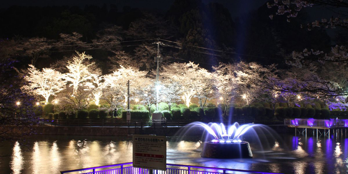 福岡県のお花見 桜の名所 21 夜桜 ライトアップや桜祭りも るるぶ More