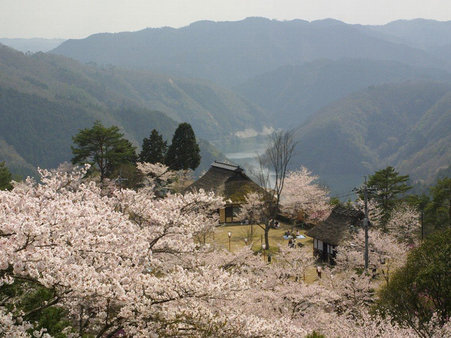 岡山県のお花見 桜の名所 21 夜桜 ライトアップや桜祭りも るるぶ More