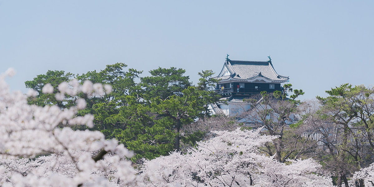 愛知県のお花見 桜の名所 21 夜桜 ライトアップや桜祭りも るるぶ More