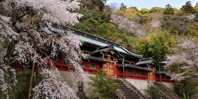 静岡県のお花見 桜の名所 21 夜桜 ライトアップや桜祭りも るるぶ More