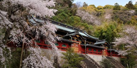 静岡県のお花見・桜の名所（2021）夜桜・ライトアップや桜祭りも