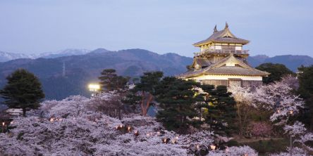 福井県のお花見・桜の名所（2021）夜桜・ライトアップや桜祭りも