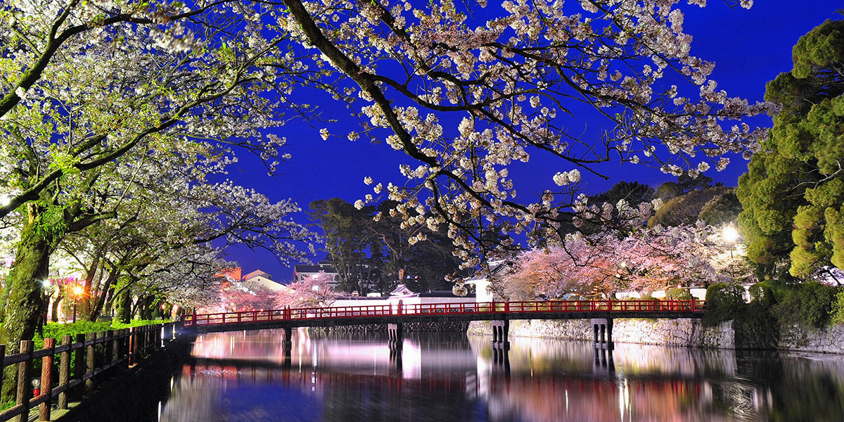 神奈川県のお花見 桜の名所 21 夜桜 ライトアップや桜祭りも るるぶ More