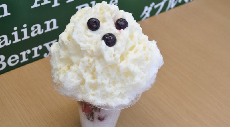 l_O8VO3Gu3lJCBwBTkPz6Jh1Ssnb2z