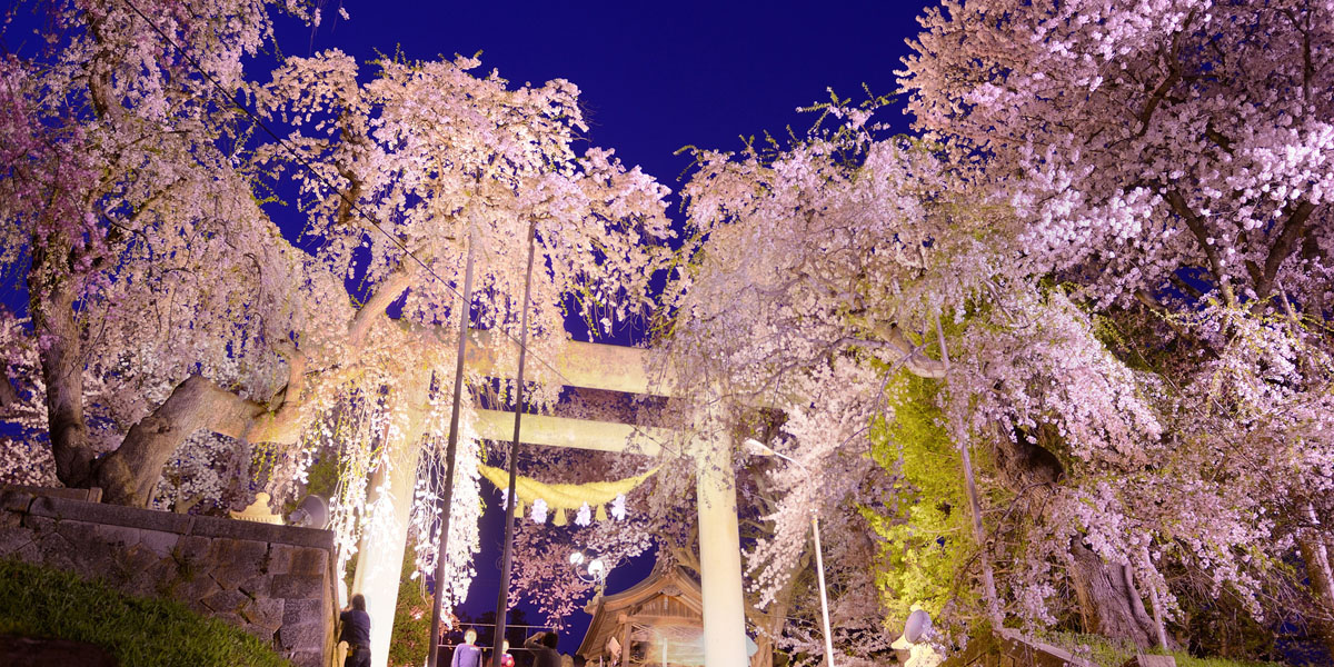 全国の夜桜ライトアップの名所 21 お花見デートにおすすめ るるぶ More