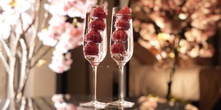 お部屋に桜が！ホテルニューオータニ幕張の「夜桜スイート」で安心＆極上のお花見を