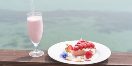 全席オーシャンビューの絶景！糸島の海辺のカフェ『HACHIDORI』であまおうのいちごタルトとスムージーを味わう