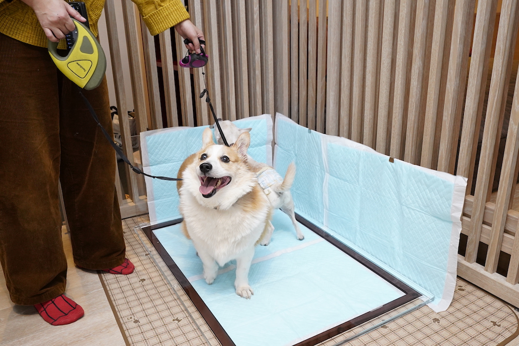 星野リゾート リゾナーレ八ヶ岳 で愛犬とワンダフルtrip 宿泊体験レポ るるぶ More