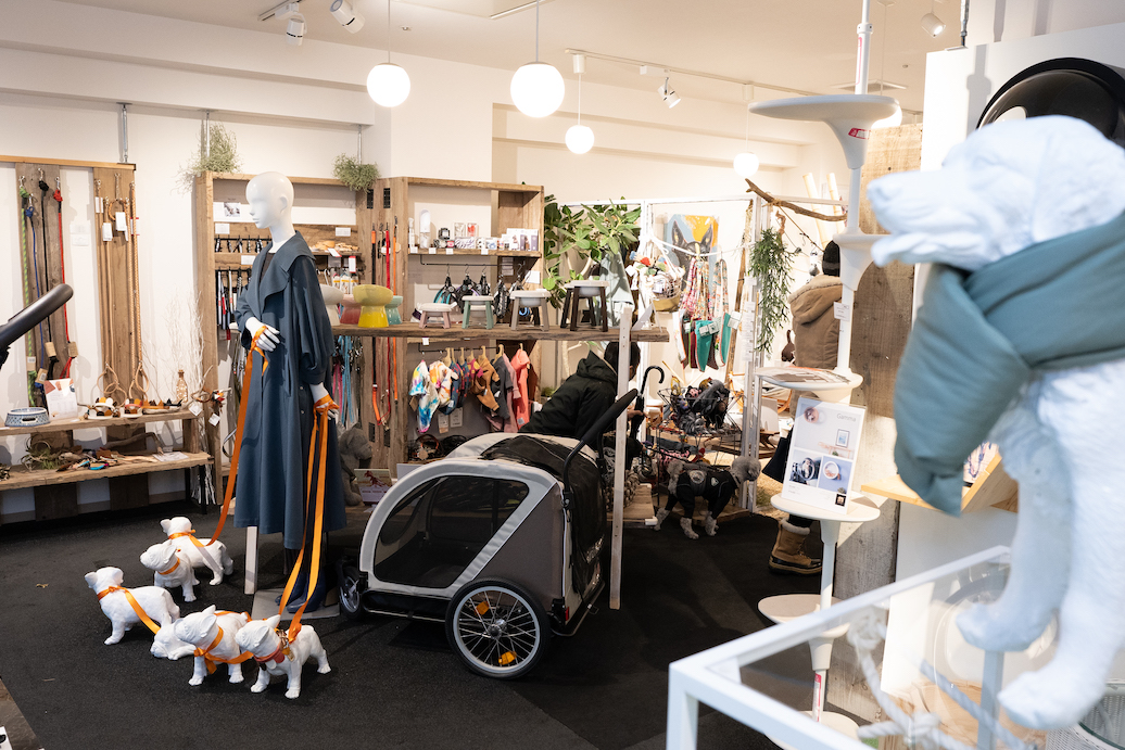 星野リゾート リゾナーレ八ヶ岳 で愛犬とワンダフルtrip 宿泊体験レポ るるぶ More