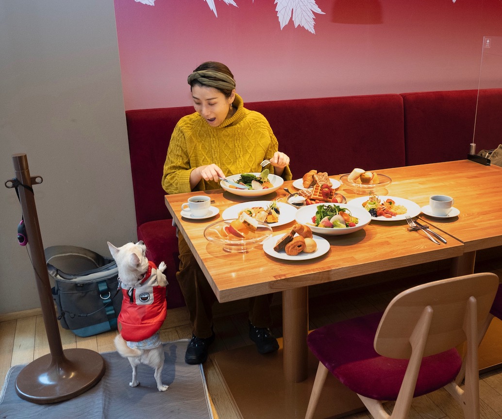 星野リゾート リゾナーレ八ヶ岳 で愛犬とワンダフルtrip 宿泊体験レポ るるぶ More