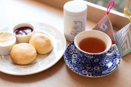 グランフロント大阪でティーフリーを体験！多彩な紅茶と自家製スコーンが楽しめる「TEA ROOM KIKI 紅茶&スコーン専門店」