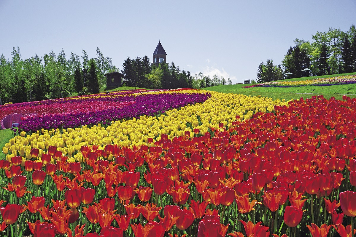 四季折々の花畑でパワーチャージ 札幌 国営滝野すずらん丘陵公園 るるぶ More