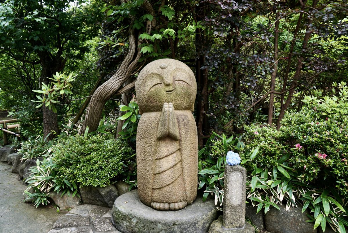 21 鎌倉 長谷寺のあじさい 初夏の鎌倉は花の寺へ 色彩が鮮やかに踊る長谷寺の あじさい路 るるぶ More