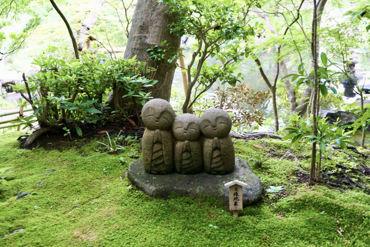 21 鎌倉 長谷寺のあじさい 初夏の鎌倉は花の寺へ 色彩が鮮やかに踊る長谷寺の あじさい路 るるぶ More